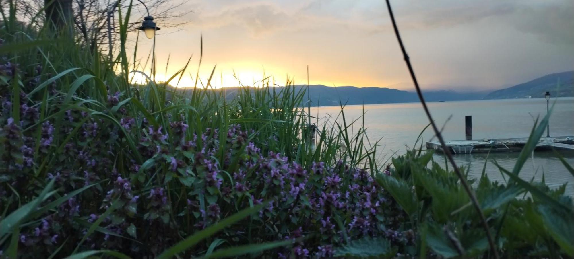 Sobe Lara Daire Donji Milanovac Dış mekan fotoğraf